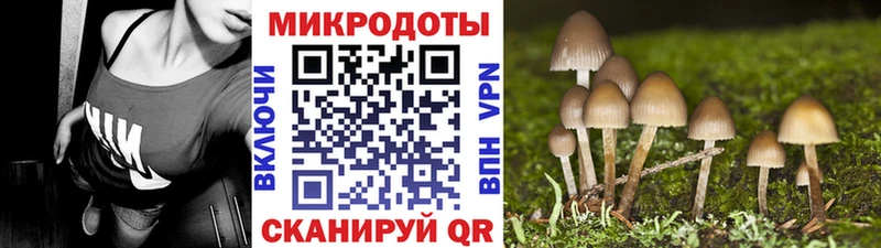 KRAKEN зеркало  Челябинск  Галлюциногенные грибы Psilocybine cubensis 